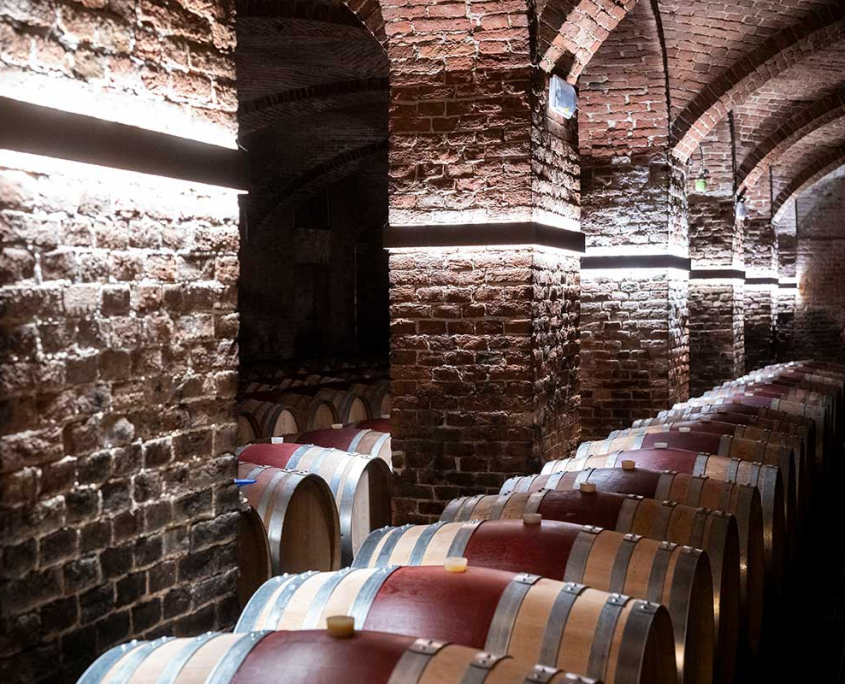 57ma Conferenza Annuale di CIMAM - International Committee for Museums and Collections of Modern Art